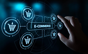 digitalwebsynation